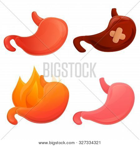 Stomach Icons Set. Cartoon Set Of Stomach Vector Icons For Web Design