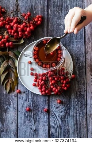 Hot Healing Tea, Mountain Ash Tea. Applied With A Lack Of Vitamins Increases Immunity. Reduces The L