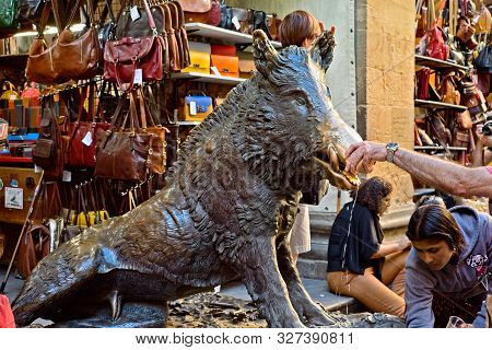 Florence, Italy - May 31, 2019: A Tourist Rubs The Snout Of The Bronze Boar For Luck At The Fontana 