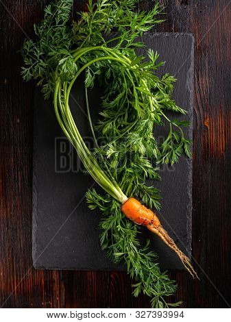 Fresh Raw Ugly Food Carrots With Curled Leaves