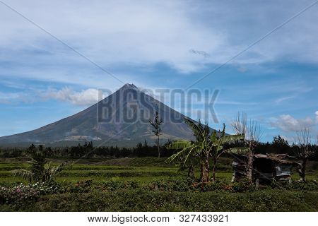 Volcano In The Background With Tree And Hut In Front