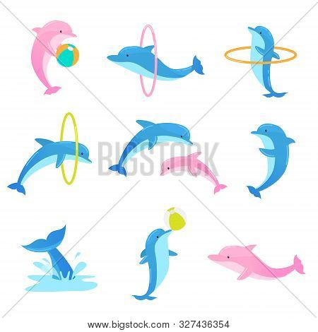 Colorful Set Of Playful Dolphins Performing Tricks With Ring And Ball. Vector Illustration In Flat C