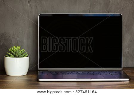Black Screen Laptop Front View On Office Table, Succulent Plant In Pot On Wooden Desk. Designer Work
