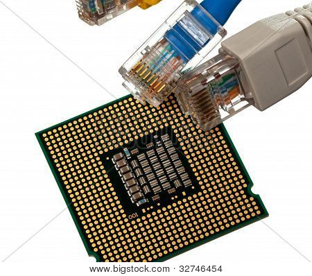 แมว 5 สายหลายสีกับ Cpu