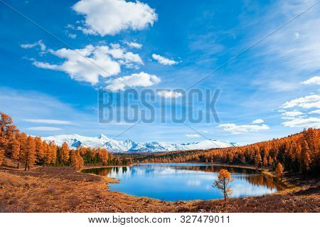Kidelu Lake In Altai Mountains, Siberia, Russia. Yellow Autumn Forest, Snow-covered Mountains And Th