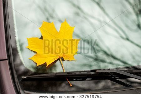 Yellow Maple Leaf On A Car Glass. Fell Yellow Maple Leaf On Car Glass As A Symbol Of Autumn. Maple L