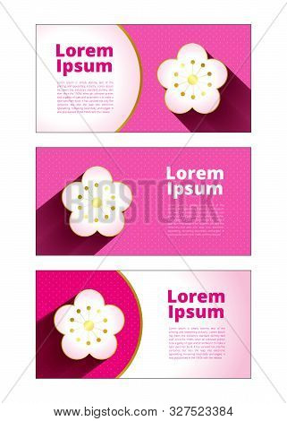 Banner Background Pink White Gold Sakura With Polka Dot For Text And Picture Template Vector Design