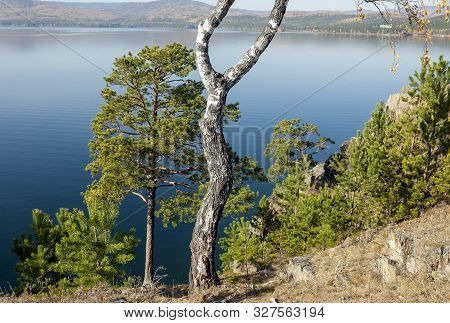 Green Pines On The Rocky Shore Of The Lake Turgoyak In The Southern Urals, The Lake Is Also Called T