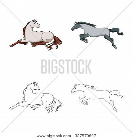 Vector Design Of Breed And Equestrian Sign. Collection Of Breed And Mare Stock Vector Illustration.