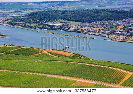 Panorama Of The Middle Rhine River Valley With Beautiful Vineyards Sloping Down To A Distant Medieva