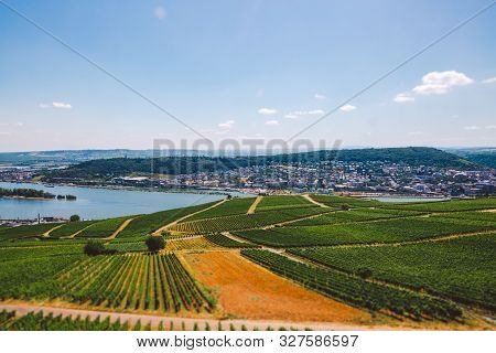 Panorama Of The Middle Rhine River Valley With Beautiful Vineyards Sloping Down To A Distant Medieva