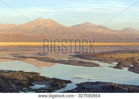 View Of Salar De Chaxa At Sunset