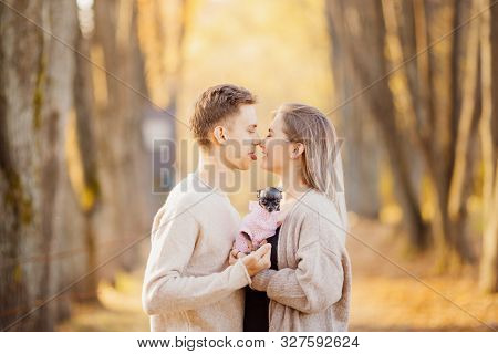 Autumn Photo, Couple In Love Hugs And Holds Dwarf Dog On Background Of Yellow Leaves, Man Shows His 