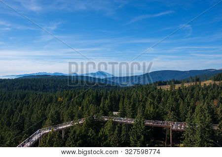Tree Canopy Walk, Treetop Walkway, Footbridge Through The Forest, Adventure In Nature, Escaping The 