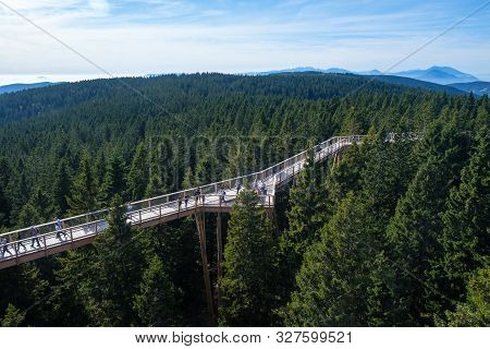 Tree Canopy Walk, Treetop Walkway, Footbridge Through The Forest, Adventure In Nature, Escaping The 