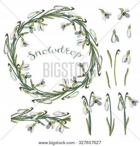 Vector Isolated Snowdrop On White. Different Elements For Floral Spring Season Design. Bouquet Of Sn