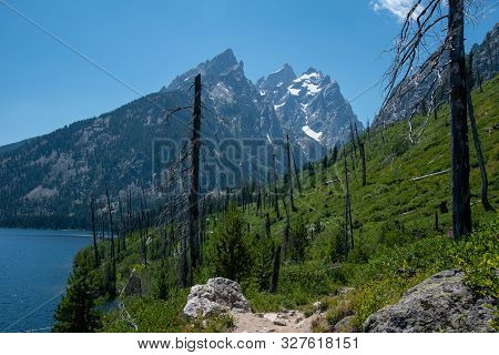 Peak Of Th Grand Teton By Jenny Lake