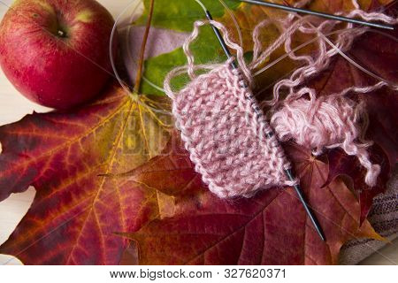 Knitting Concept. Autumn Background With Knitting Needles And Pink Knitting On Multicolored Maple Le