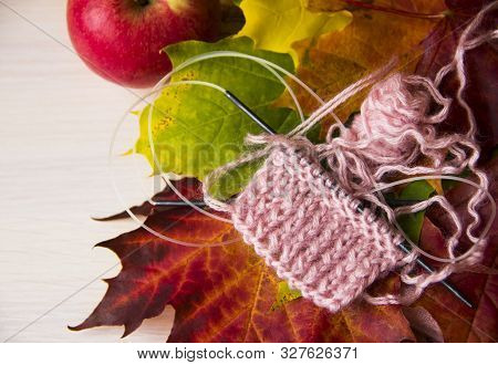 Knitting Concept. Autumn Background With Knitting Needles And Pink Knitting On Multicolored Maple Le