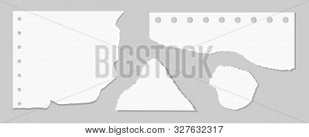 Paper Scraps. Ripped Paper, Wrinkled Paper, Torn Sheets, Notebook Paper And Sheet Of Recording Paper