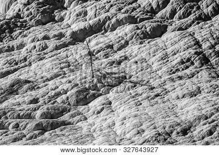 Minerva Terraces With Its Travertine Deposits