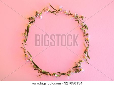 Floralwreath Of Daisies And Leaves Against Pink Background. Top View, Flat Lay.