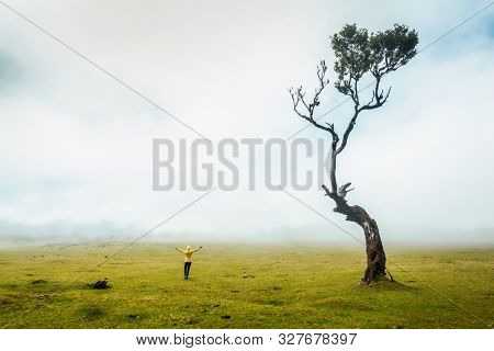 Traveller woman feeling the power of the nature at an ancient forest