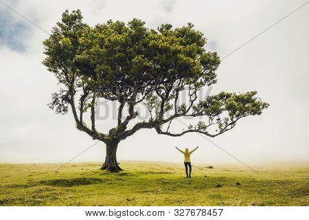 Traveller woman feeling the power of the nature at an ancient forest
