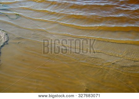 Shore Of The Iodized Healing Lake With Brown Water In The Middle Of The Steppe. Kherson Region Ukrai