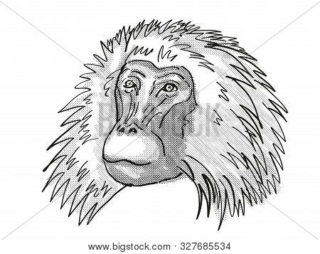 Retro Cartoon Style Drawing Head Of A Shaggy Male Gelada, A Monkey Species Viewed From Front On Isol