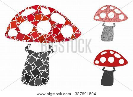 Mushroom Mosaic Of Tremulant Pieces In Various Sizes And Color Tones, Based On Mushroom Icon. Vector