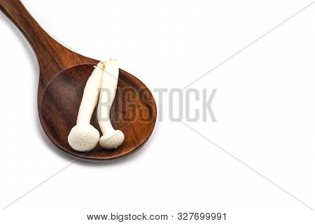 White Beech Mushroom, Shimeji Mushroom, Isolated On White Background. Fresh Food Enoki Mushrooms On 