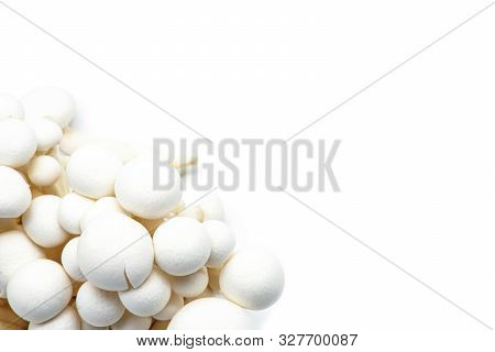 White Beech Mushroom, Shimeji Mushroom, Isolated On White Background. Fresh Food Enoki Mushrooms Con
