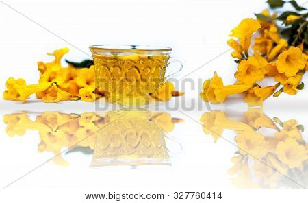 Allamanda Flower Or Allamanda Cathartica Along With Its Essential Detoxifying Tea In A Transprent Gl