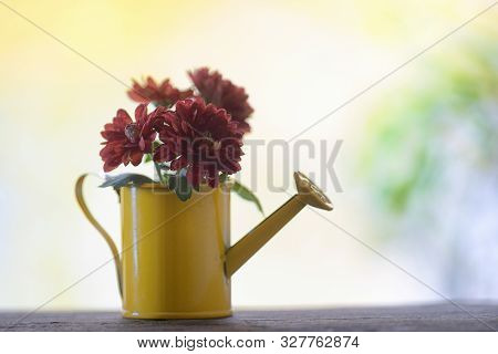 Autmn Flowers In Small Bucket At Window