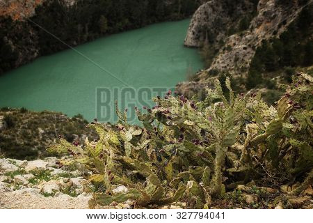 Swamp Surrounded By Mountains And Colorful Vegetation In El Molinar, Casas De Ves, Spain. Crystal Cl