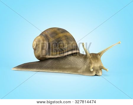 Gsrden Snail 3d Render On Blue Gradient