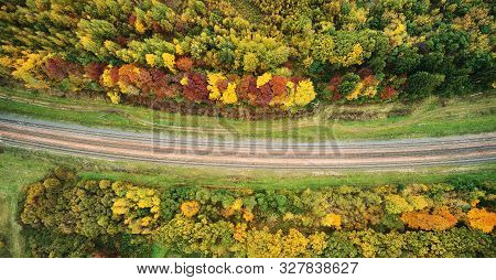 Railway Road Around Yellow Forest