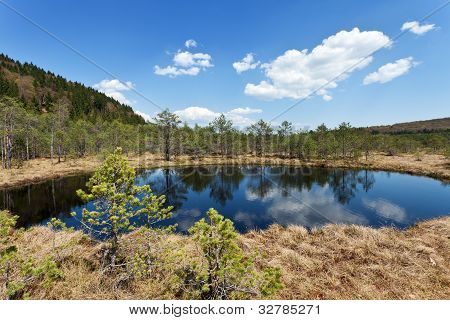 Rašeliniště Mohos