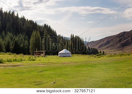 Summer Landscape In The Mountains. Tall Trees Of A Christmas Tree, The National Dwelling Is A Yurt. 