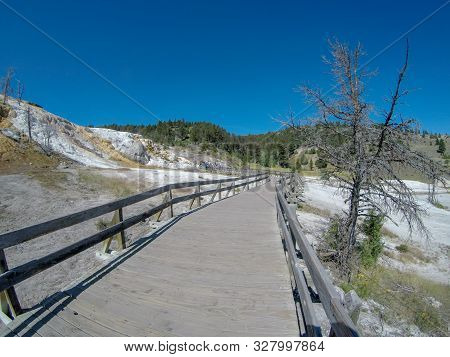 Yellostone National Park Wyoming Mammoth Springs Landscape