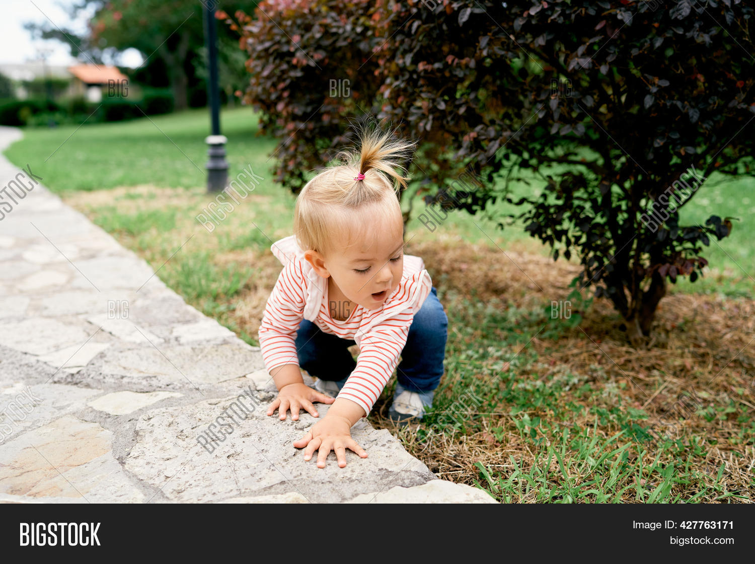 Little Girl Squatting Image Photo Free Trial Bigstock little-girl-squatting-image-photo-free-trial-bigstock