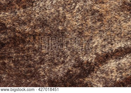 Fur Texture. The Inner Part Of The Winter Jacket Is Made Of Fur.