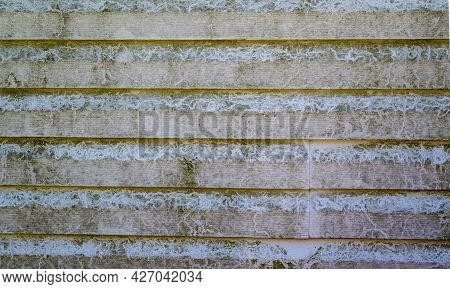 The North Wall Of This Missouri Home Is Covered With Unsightly Green And Black Mold And Mildew.