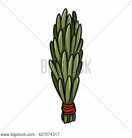 Mugwort Smudge Stick Hand-drawn Doodle Isolated Illustration. Mugwort Herb Bundle