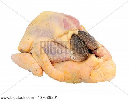 Fresh Raw Prepared Whole Guinea Fowl Isolated On A White Background