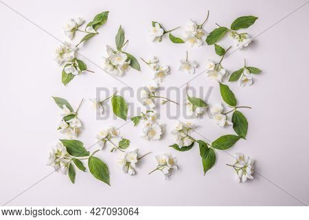 Pattern Of Bud Jasmine And Leaves Scattered On A Gary  Background, Overhead View. Flat Lay Pattern