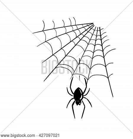 Black Spider And Its Net Ink Illustration. Halloween Vector Design Element.