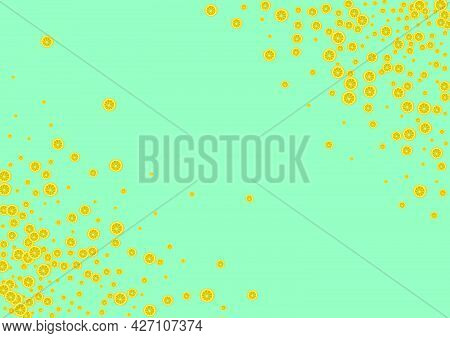 Yellow Citrus Background Green Vector. Drawing Illustration. Juicy Fruit Lime. Art Bright Pattern.