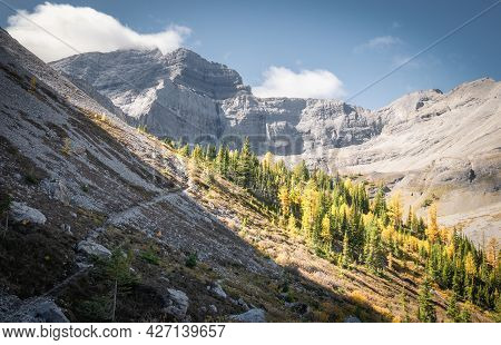 Fall In Canadian Rockies, Slopes With Colourful Golden Larches Surrounded By Mountains, Shot On Gala